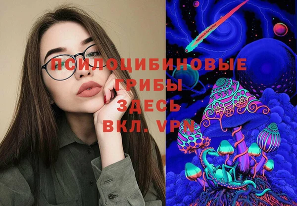 герыч Алексин