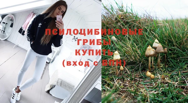 герыч Алзамай