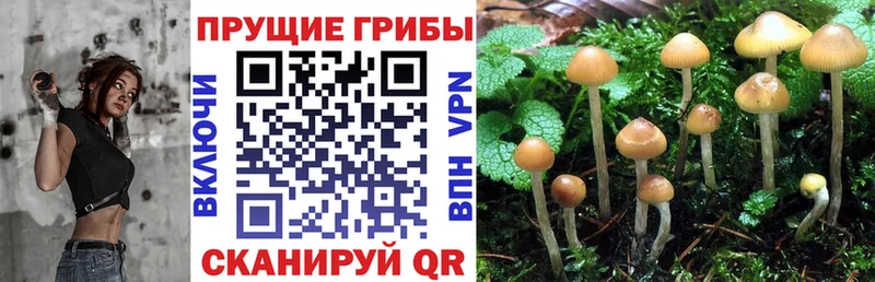 Псилоцибиновые грибы Magic Shrooms  Чадан 